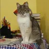Отзыв от Наталия Захарова